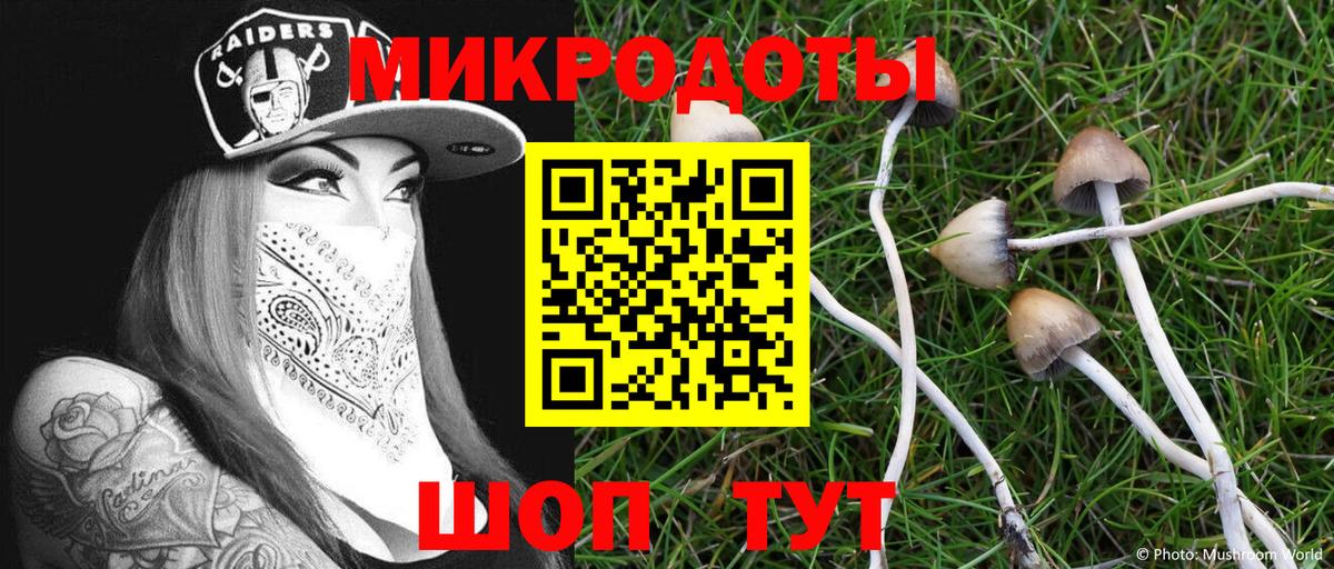 Псилоцибиновые грибы мухоморы  Псилоцибиновые грибы GOLDEN TEACHER  Вход с VPN  Вольск 